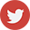 Logo Twitter ALPI CANECO